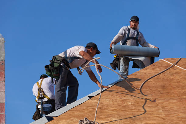 Best Roof Gutter Cleaning  in Hebron, KY